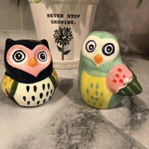 Boston Warehouse (BW) Fancy Colorful Whimsical Owls Salt & Pepper Set